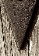 Wall_Art_Alphabet_Photography_Art_ 2331